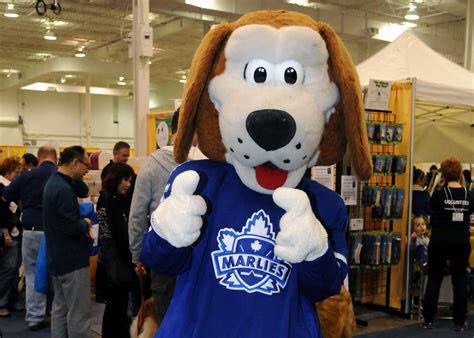 Toronto Marlies on X: Of course Duke is the best mascot in @TheAHL! Vote  in #MascotMadness ::   / X