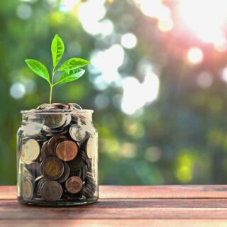 A medium-sized clear glass jar filled to the top with pennies that has a small green plant growing out of it on a brown surface with a blurred outdoor background of trees and light.